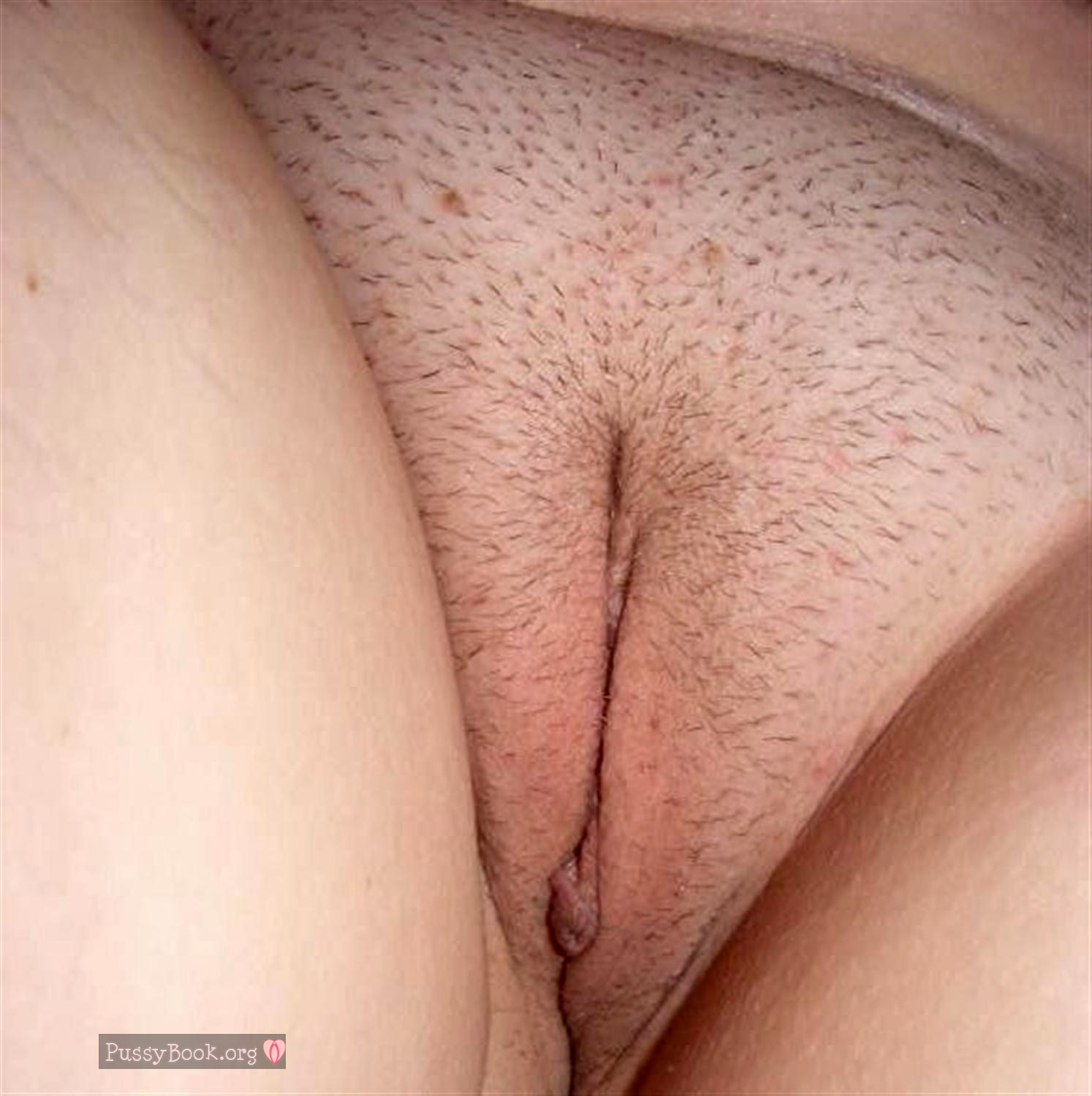 Пухлая вагина с легкой небритостью фото