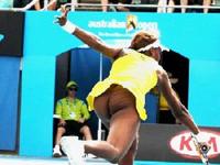 ass pics photos venus williams ass tennis clubs