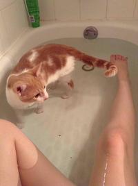 picture of a wet pussy gallery iiaxy